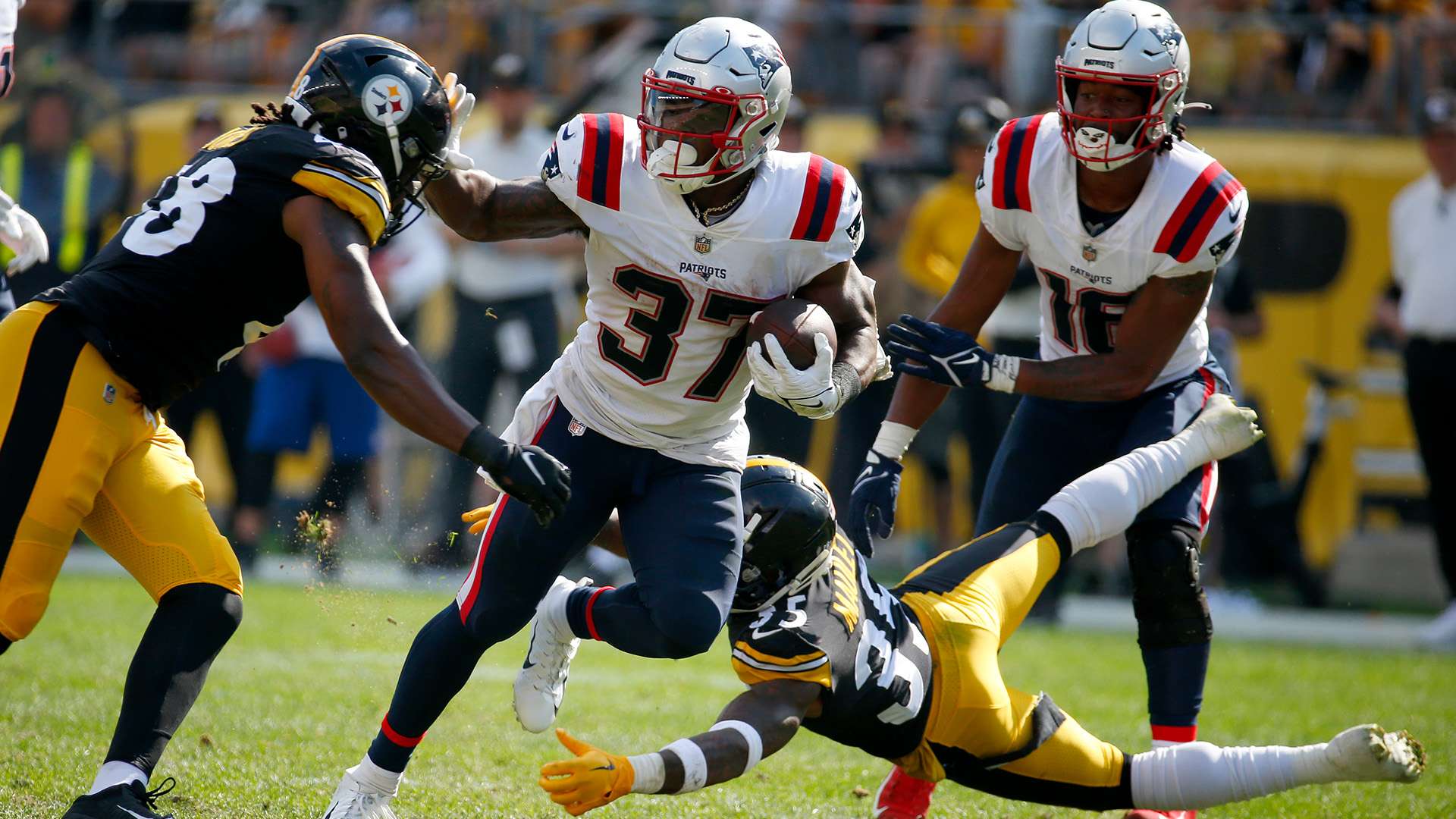 在維尼修斯 在維尼修斯