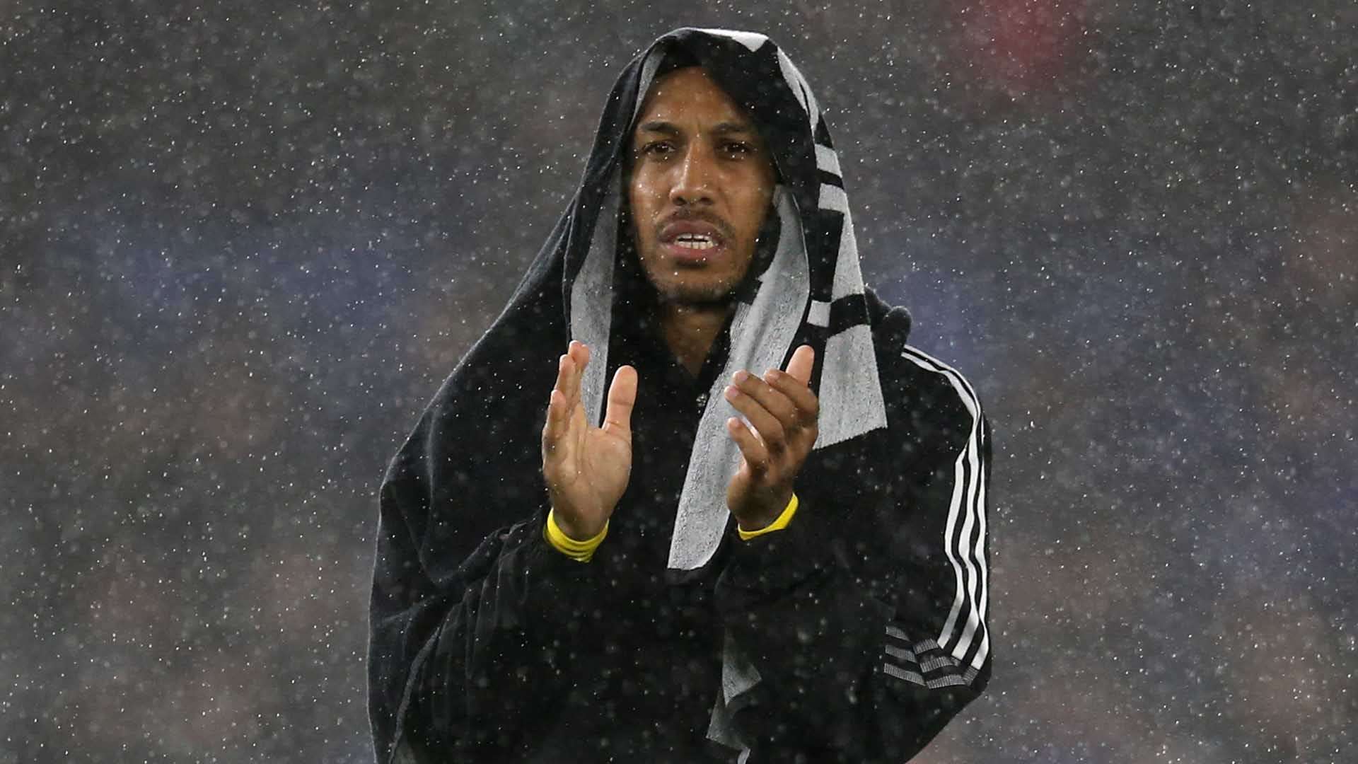 球队的深厚 球队的深厚